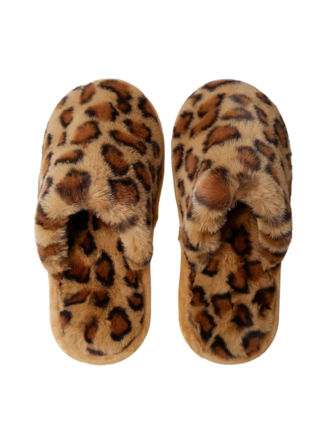 BCLeo Slippers