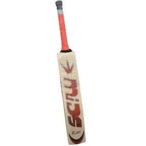 Best English Willow Cricket Bat – MIDS Z Ten