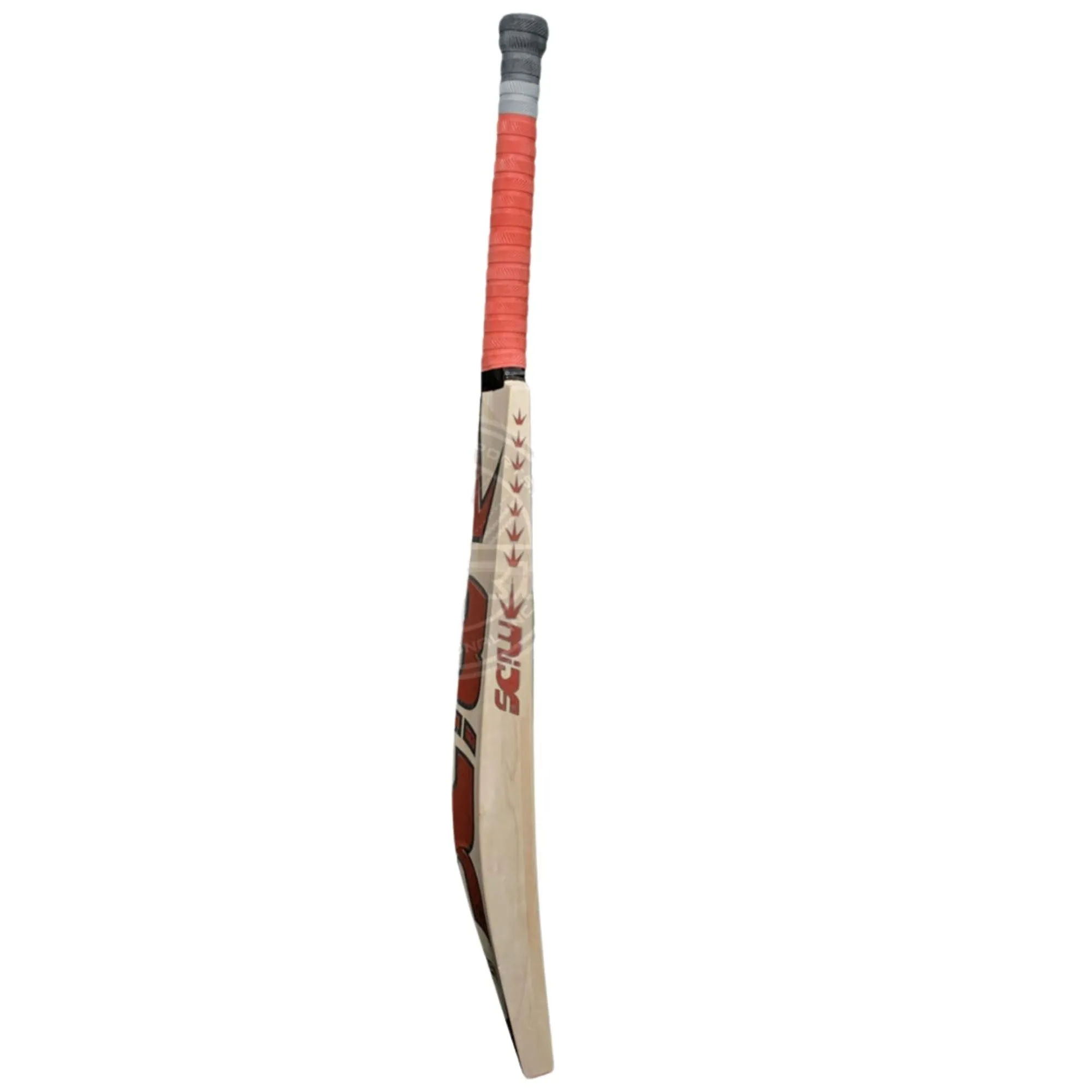 Best English Willow Cricket Bat – MIDS Z Ten