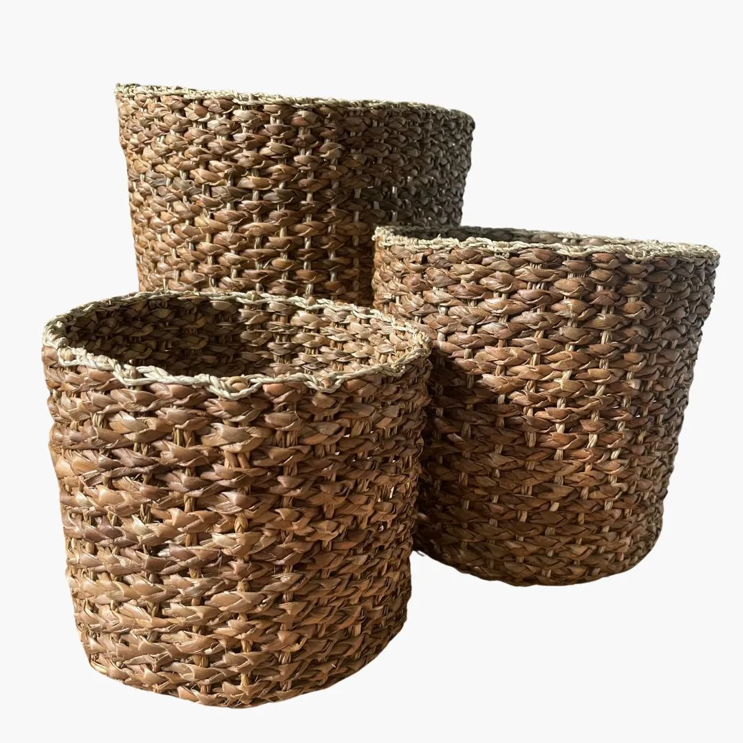 Cheerful Indoor Plant Basket Collection