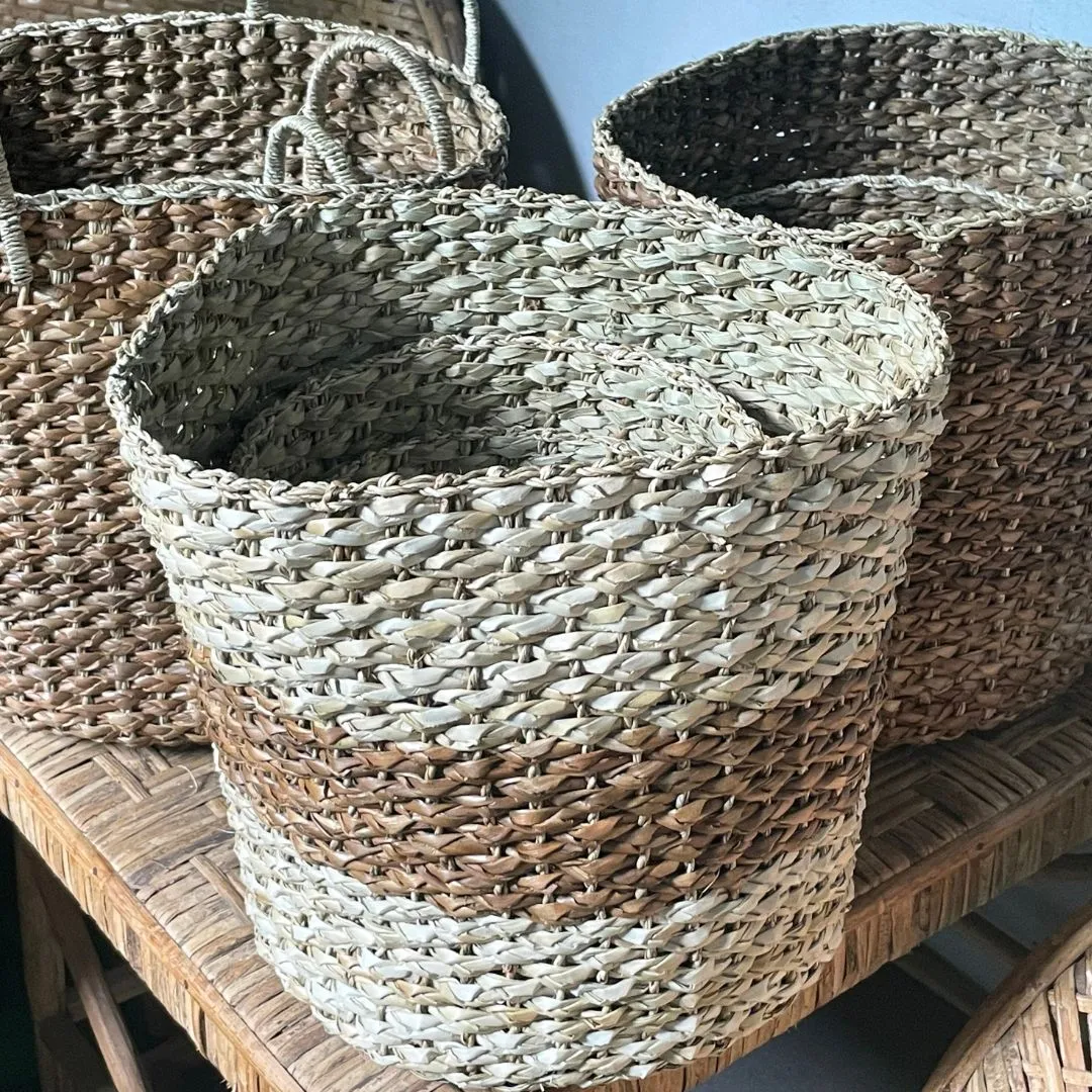 Cheerful Indoor Plant Basket Collection