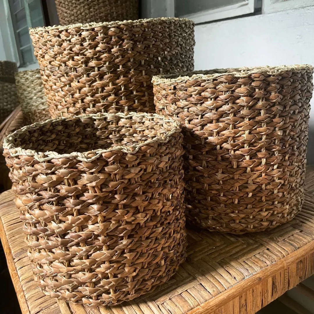 Cheerful Indoor Plant Basket Collection