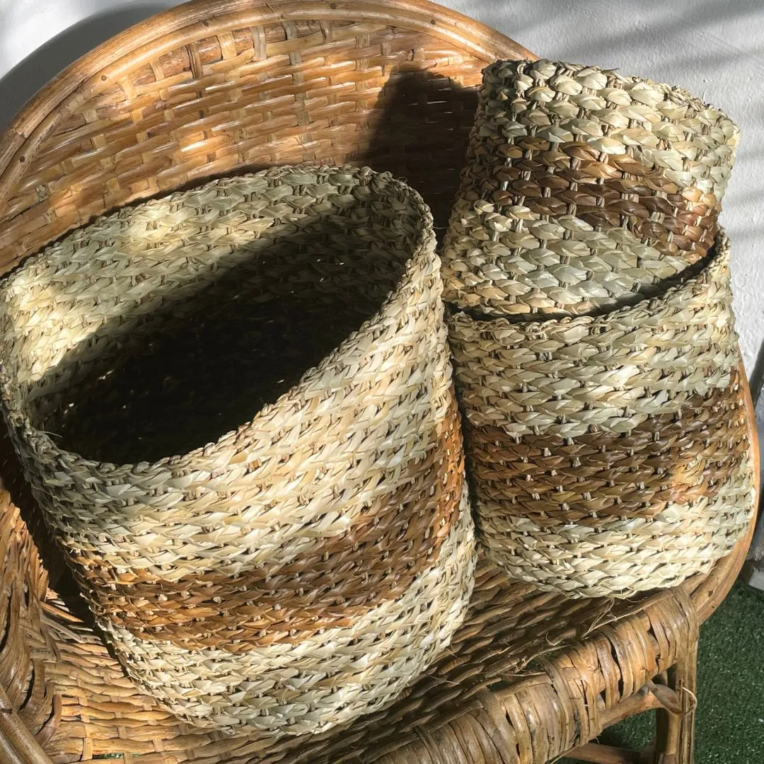 Cheerful Indoor Plant Basket Collection