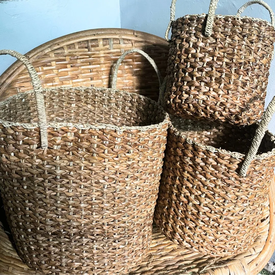 Cheerful Indoor Plant Basket Collection