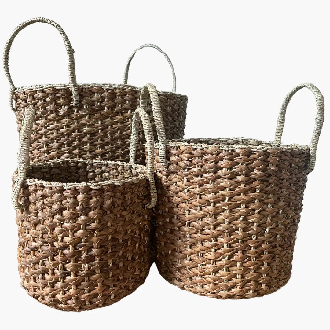 Cheerful Indoor Plant Basket Collection