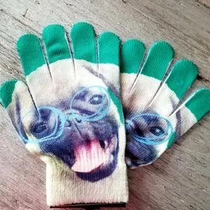 Pug Glasses Gloves Green