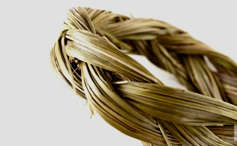 Sweetgrass benefits, uses, and where to buy