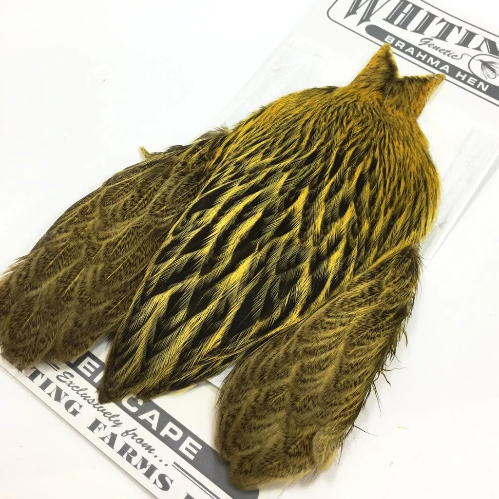 Whiting Brahma Hen Cape